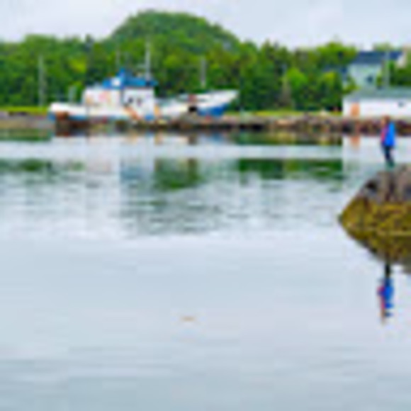 Meet your Posher, Lisa - Picture 1 of 1